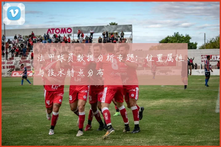 法甲球员数据分析专题：位置属性与技术特点分布