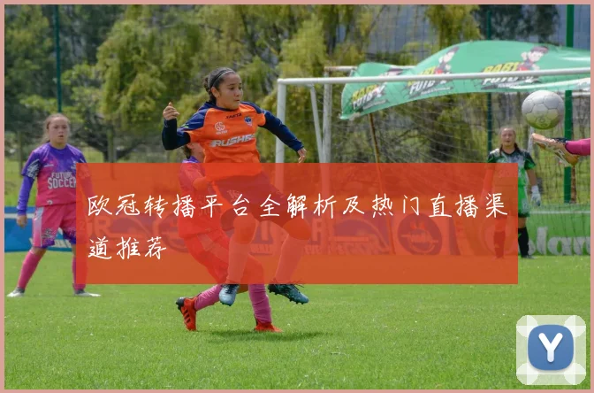 欧冠转播平台全解析及热门直播渠道推荐