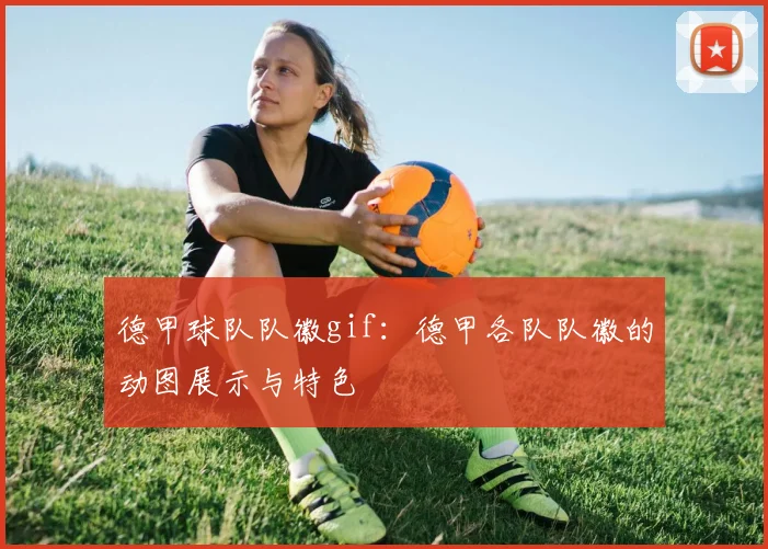 德甲球队队徽gif：德甲各队队徽的动图展示与特色