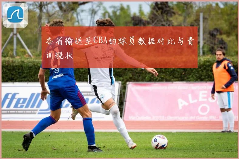 各省输送至CBA的球员数据对比与青训现状